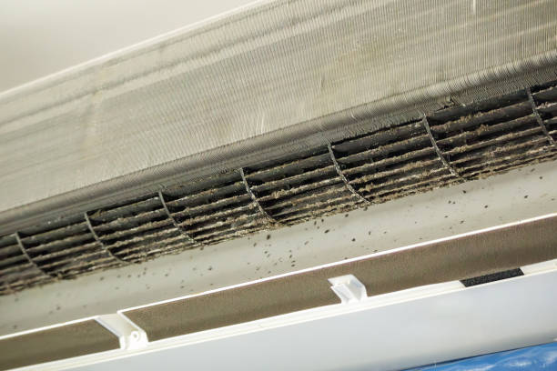 Best Emergency Air Duct Cleaning  in Forest View, IL
