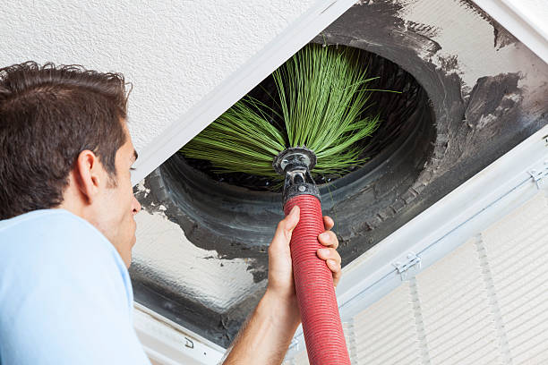 Best Ductwork Cleaning Services  in Forest View, IL